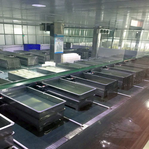 青島高恩機械 泡菜食品機械行業(yè)的專業(yè)制造者