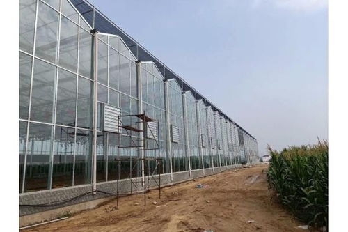 開陽縣薄膜溫室大棚建設(shè)及大棚薄膜應(yīng)用