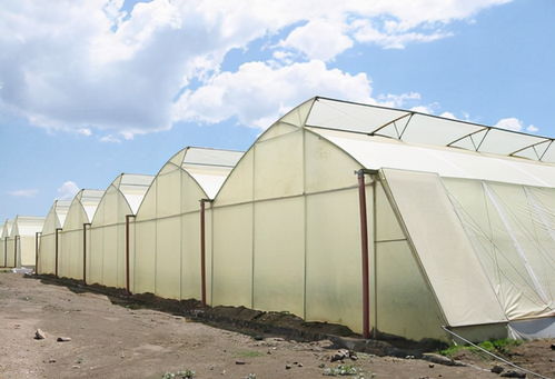 薄膜溫室大棚設(shè)計中風(fēng)壓取值的確定方法