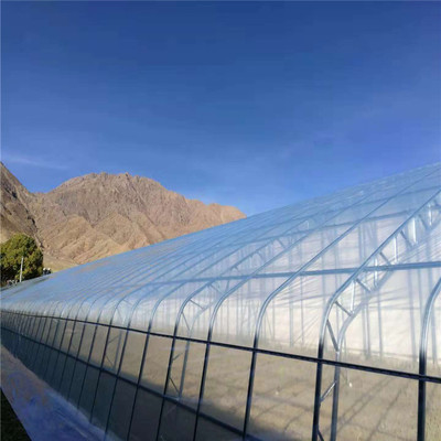 連棟薄膜溫室大棚 現代設施農業(yè)值得信賴的堅實伙伴