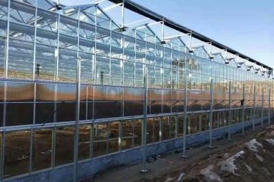 大棚薄膜 現代農業(yè)的“隱形守護者”