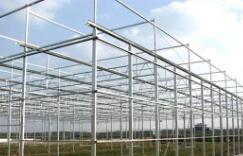 昆明花卉育苗溫室價位深耕市場 大棚薄膜的成本考量與技術選型