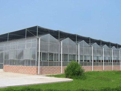 溫室大棚薄膜 價格分級的背后，是用戶需求的精準匹配