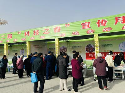 聚焦楊凌&ldquo;雙交會(huì)&rdquo; | &ldquo;科技之春&rdquo; 農(nóng)味足 專(zhuān)家坐&ldquo;診&rdquo;開(kāi)&ldquo;方&rdquo;忙